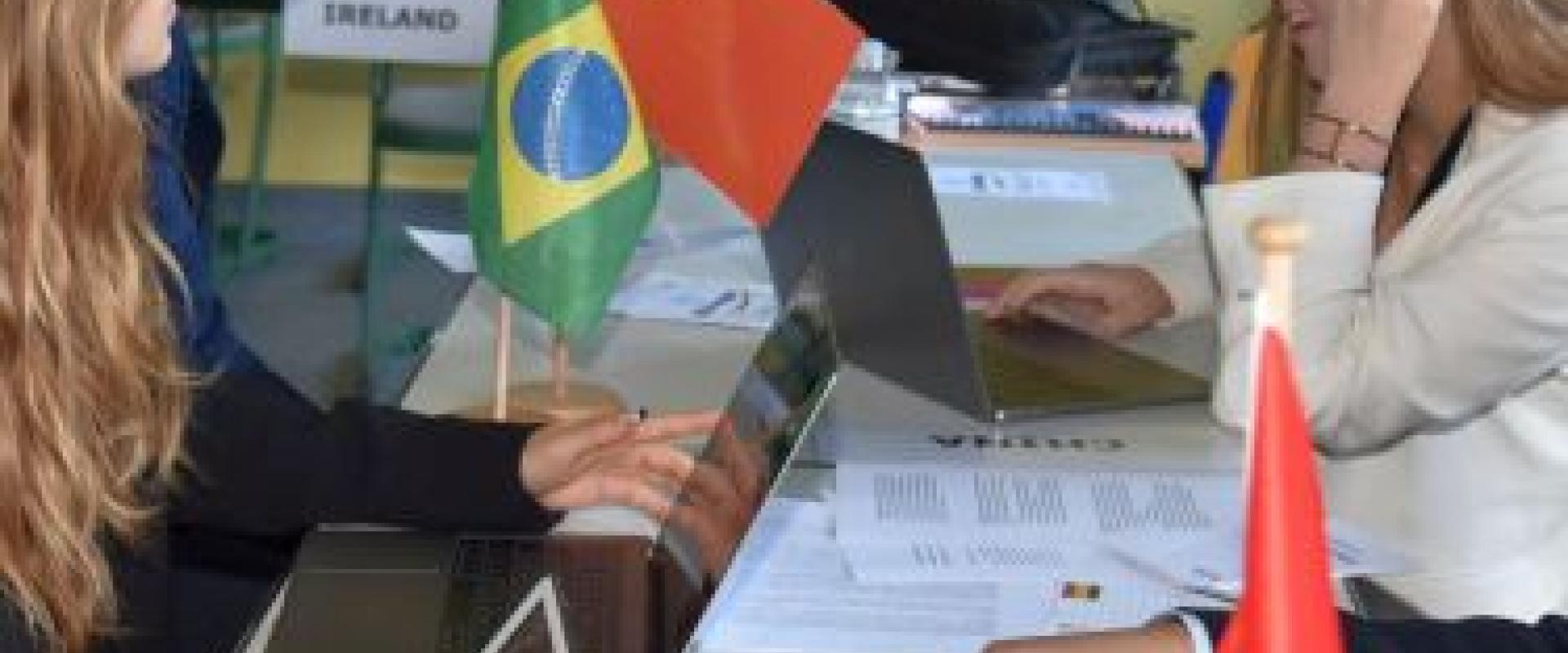 Learn about the workings of the United Nations, participate in political debates 